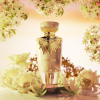 Zora 100ML