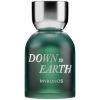 Down To Earth